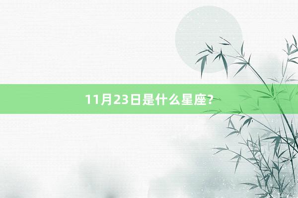 11月23日是什么星座？